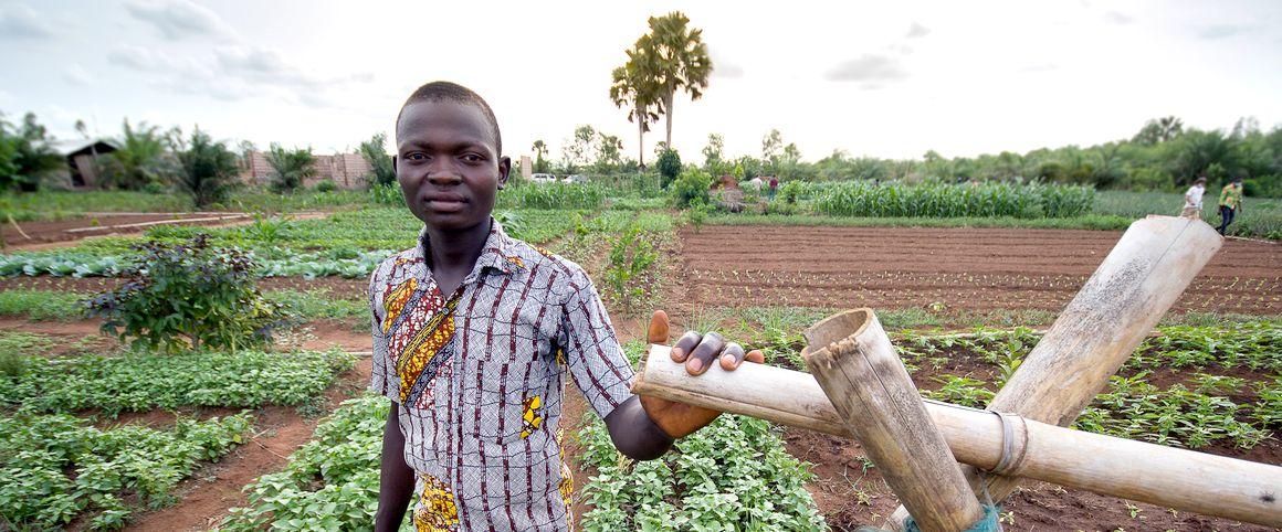 vLes scientifiques du Cirad suivent et s’inspirent des pratiques de semenciers sénégalais, véritables « paysans-chercheurs » © R. Belmin, Cirad
